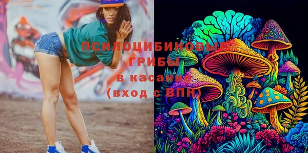 хмурый Осташков